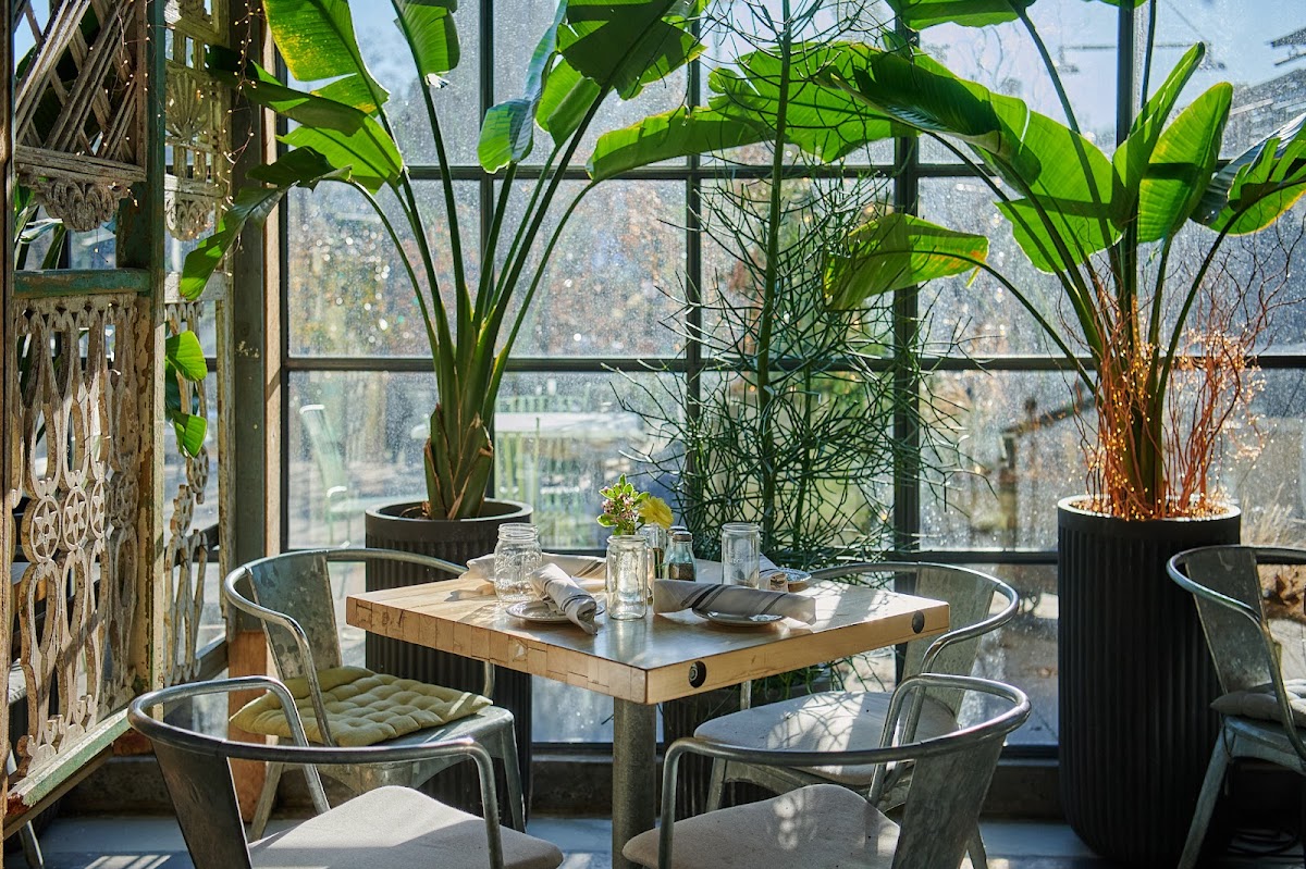 Terrain Cafe